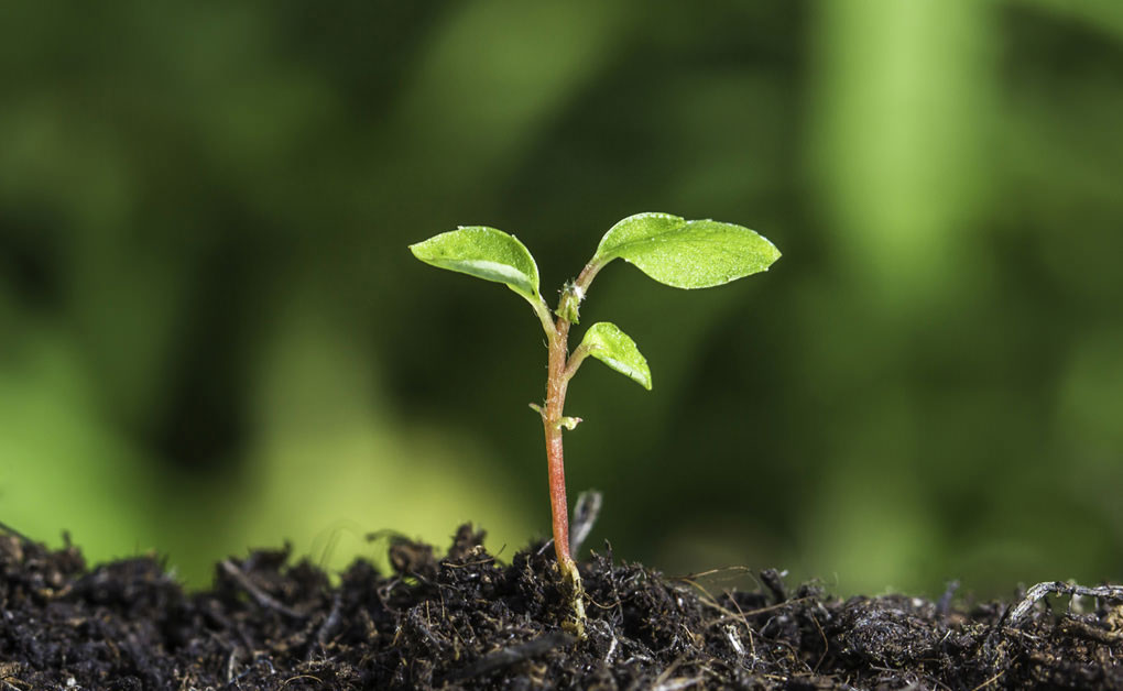 ロータリーの目的